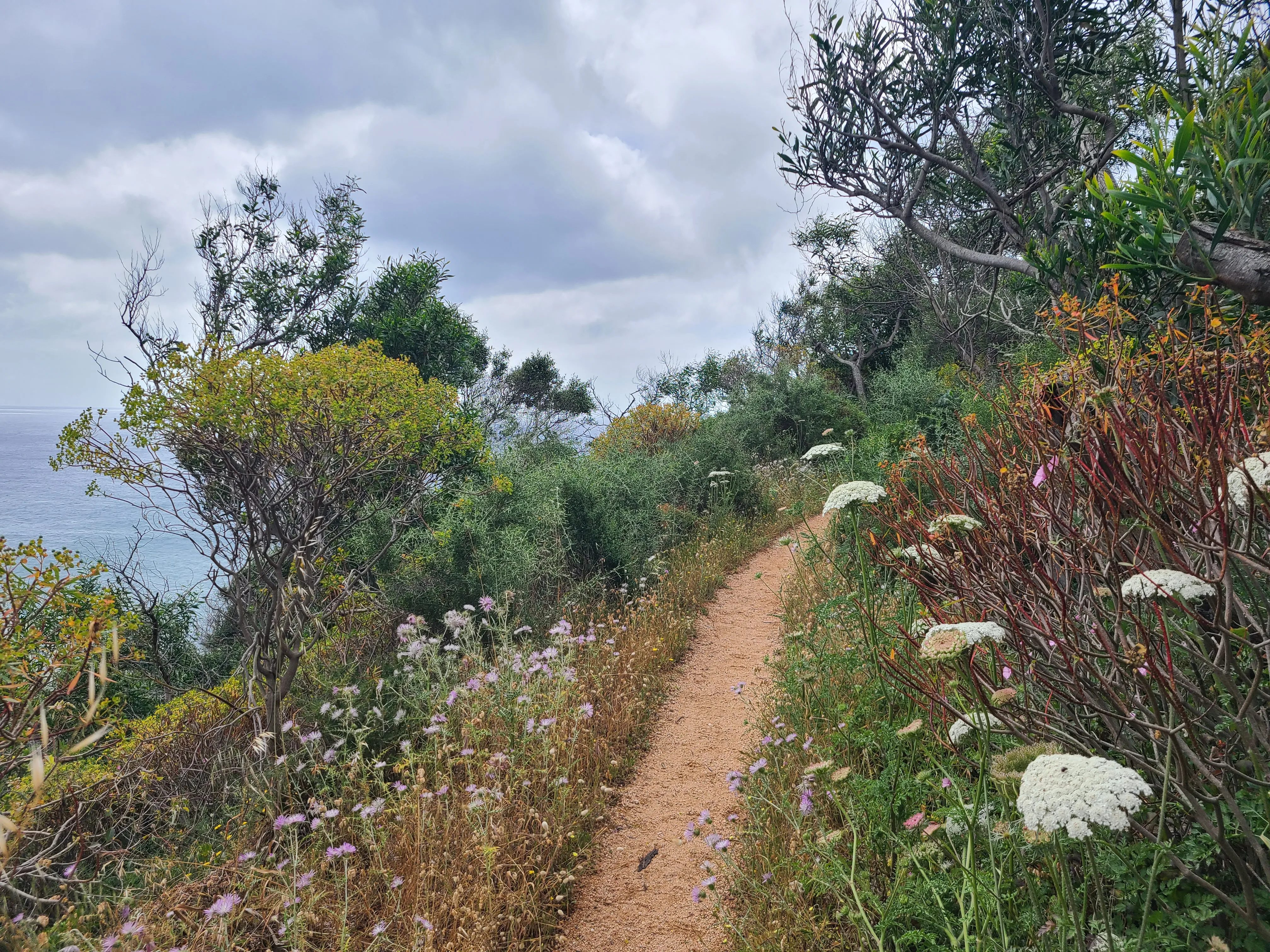 Erster Wandertag – Sardinien