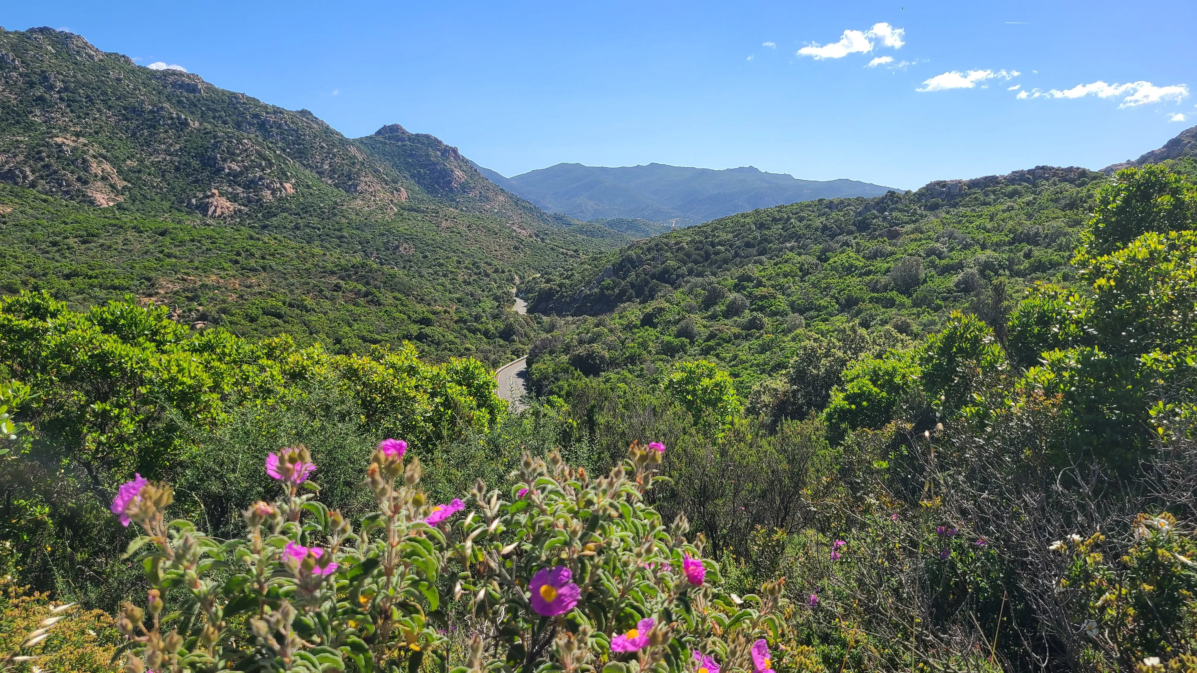 Wanderung oberhalb des Capo Malfatano – Sardinien