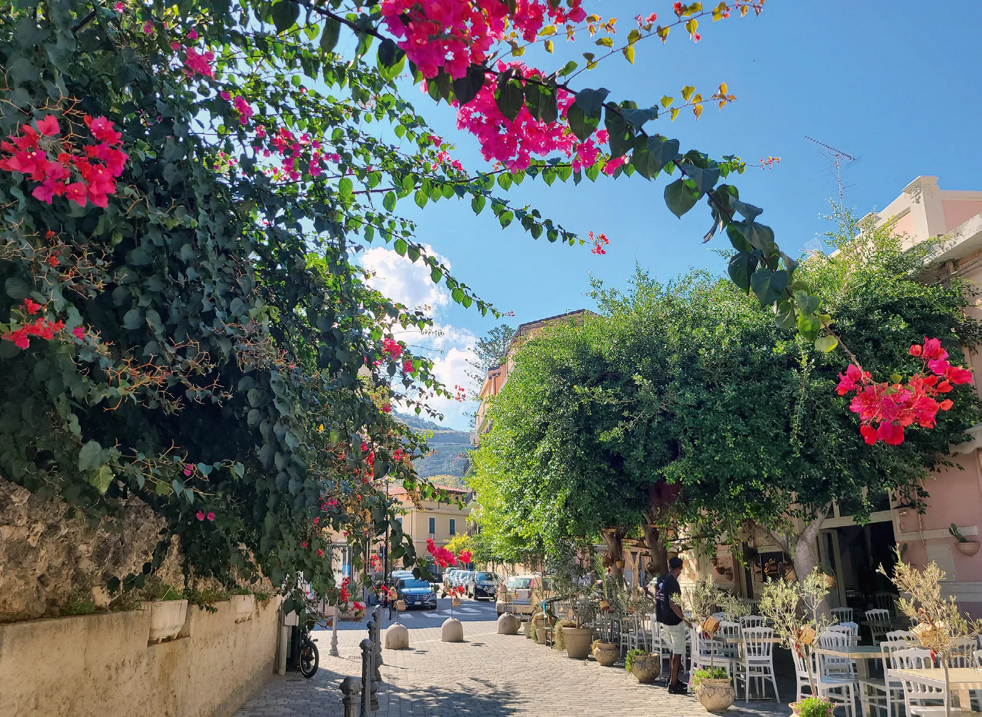 Mediterrane Bougainvillea – Tropea